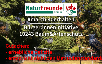 Naturfreunde Berlin: Stellungnahme zur artenschutzrechtlichen Betreuung – Drei-Religionen-Kita-Haus